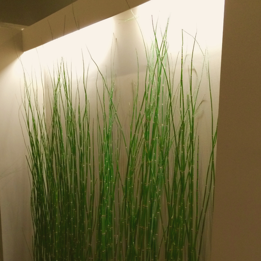 Restaurante Ramen dining Yu